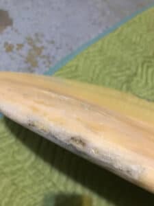 waterlogged-surfboard